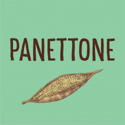 Panettones