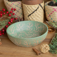 Plato verde NP 500gr