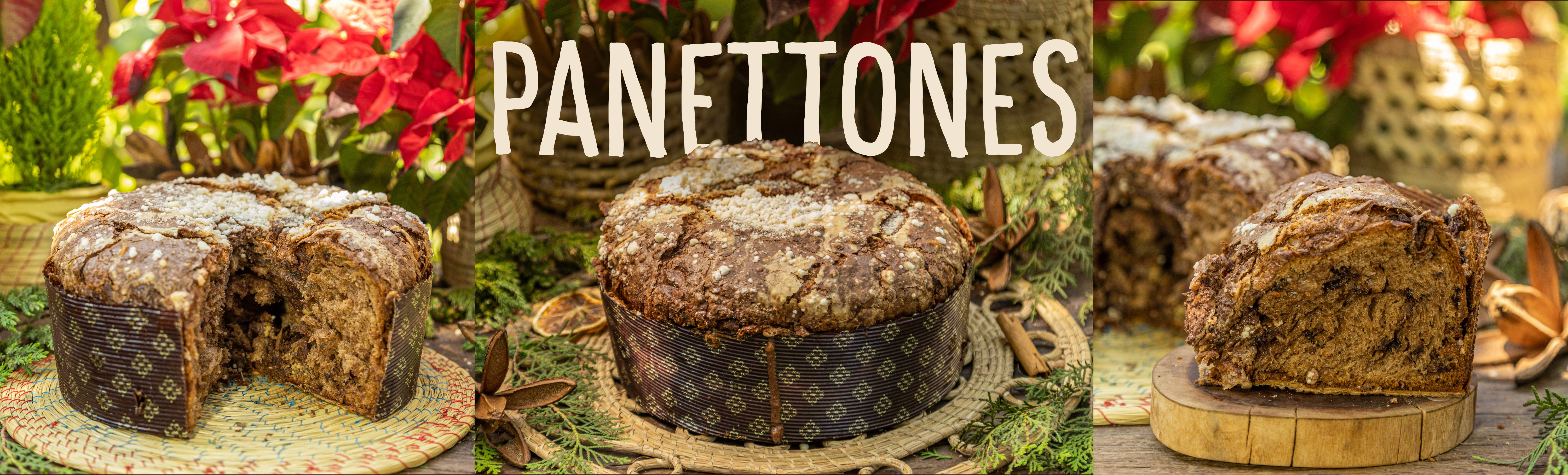 Panettones